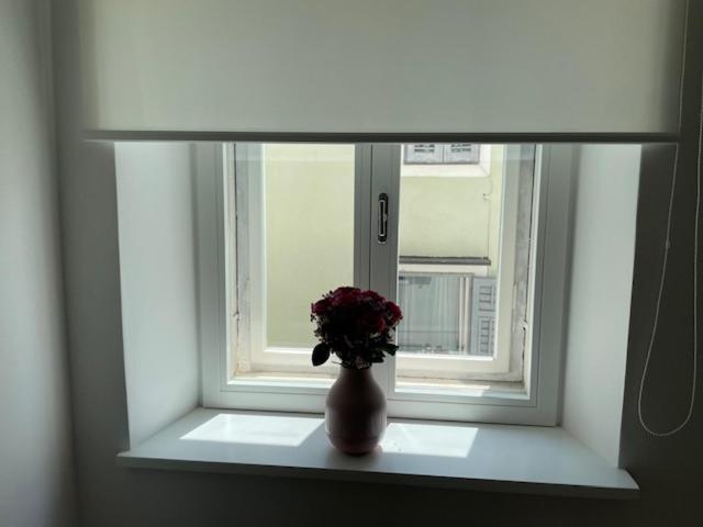 Apartment Magnolia *
