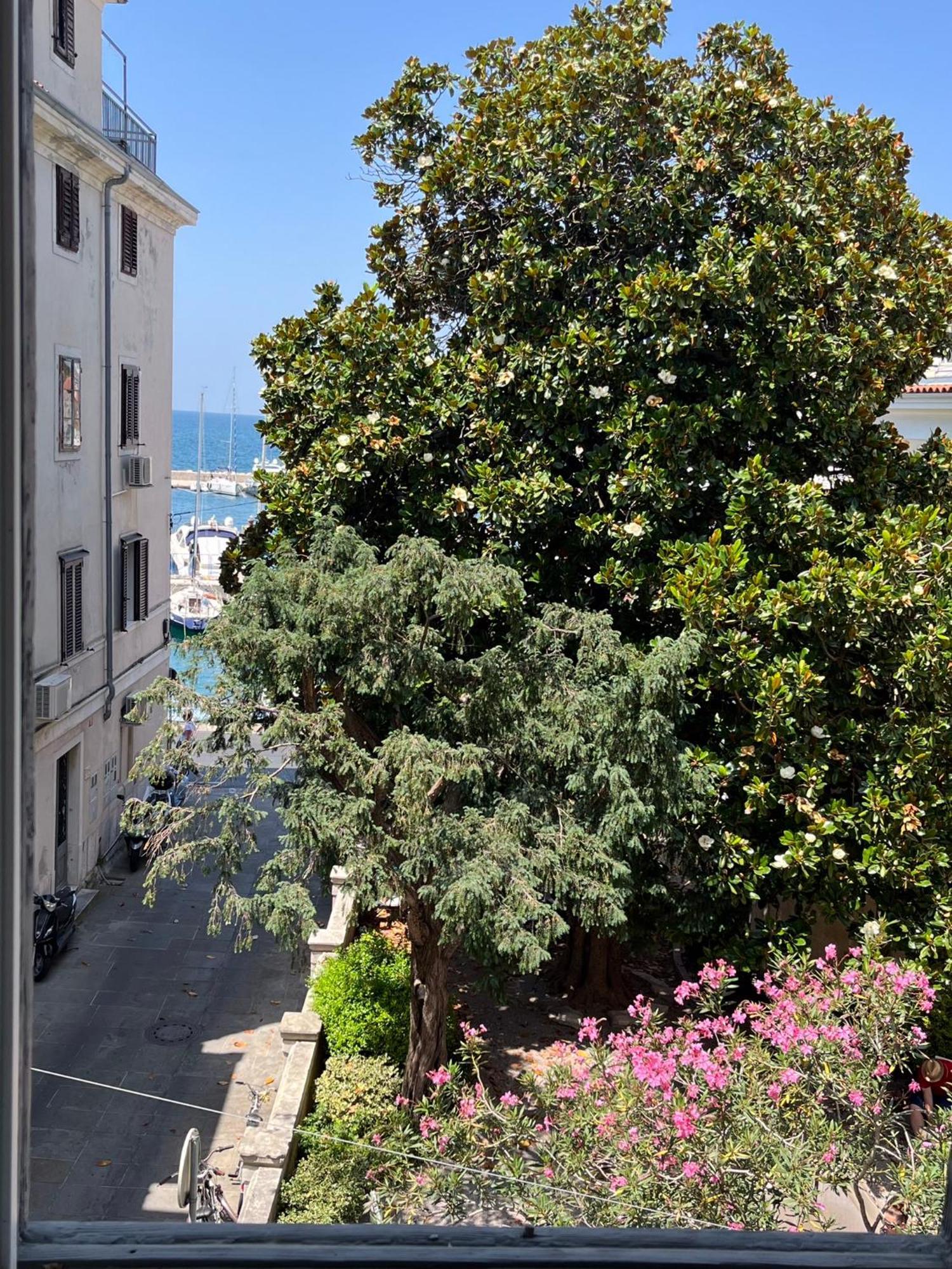 Apartment Magnolia