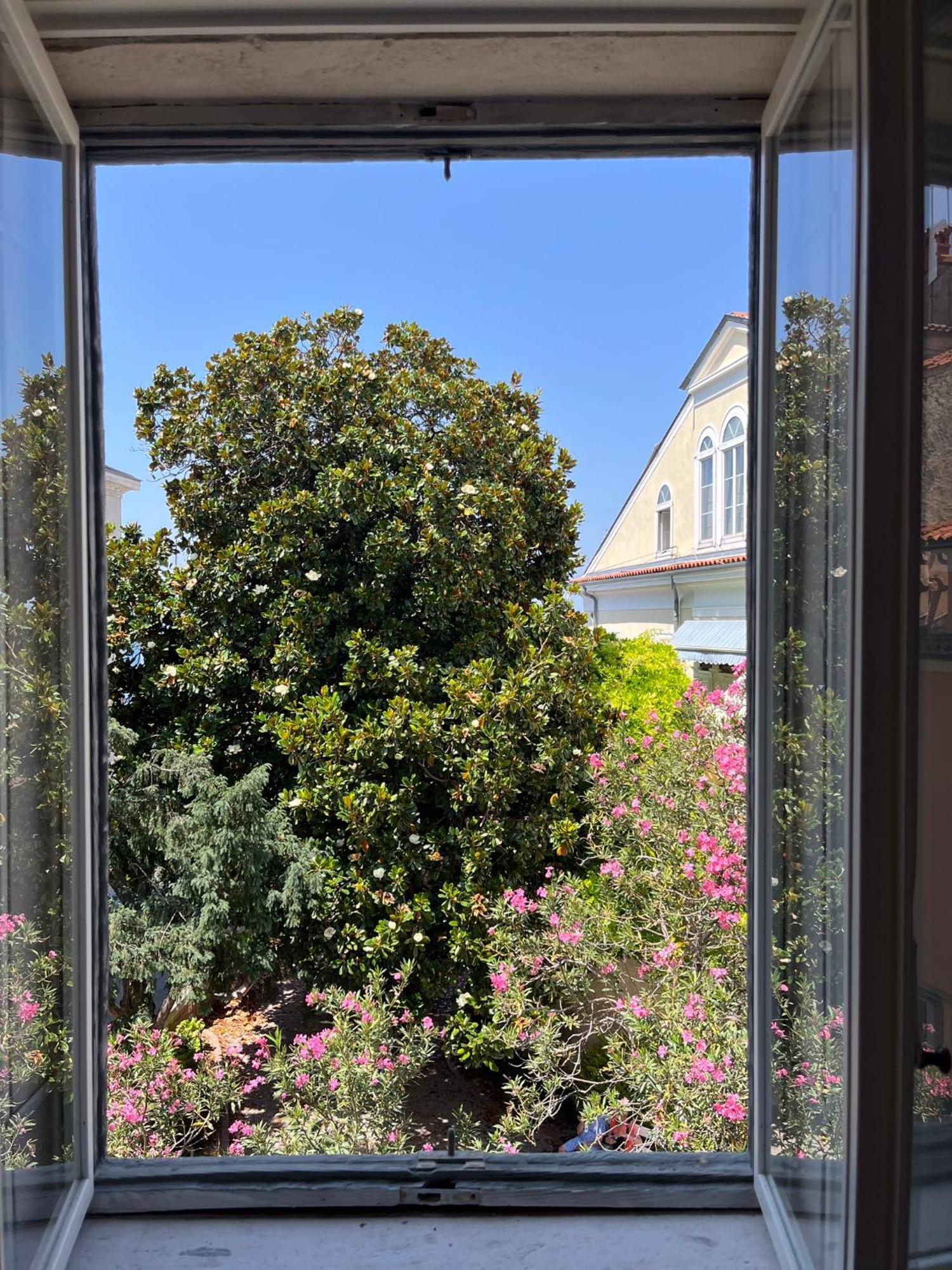 Magnolia Apartment