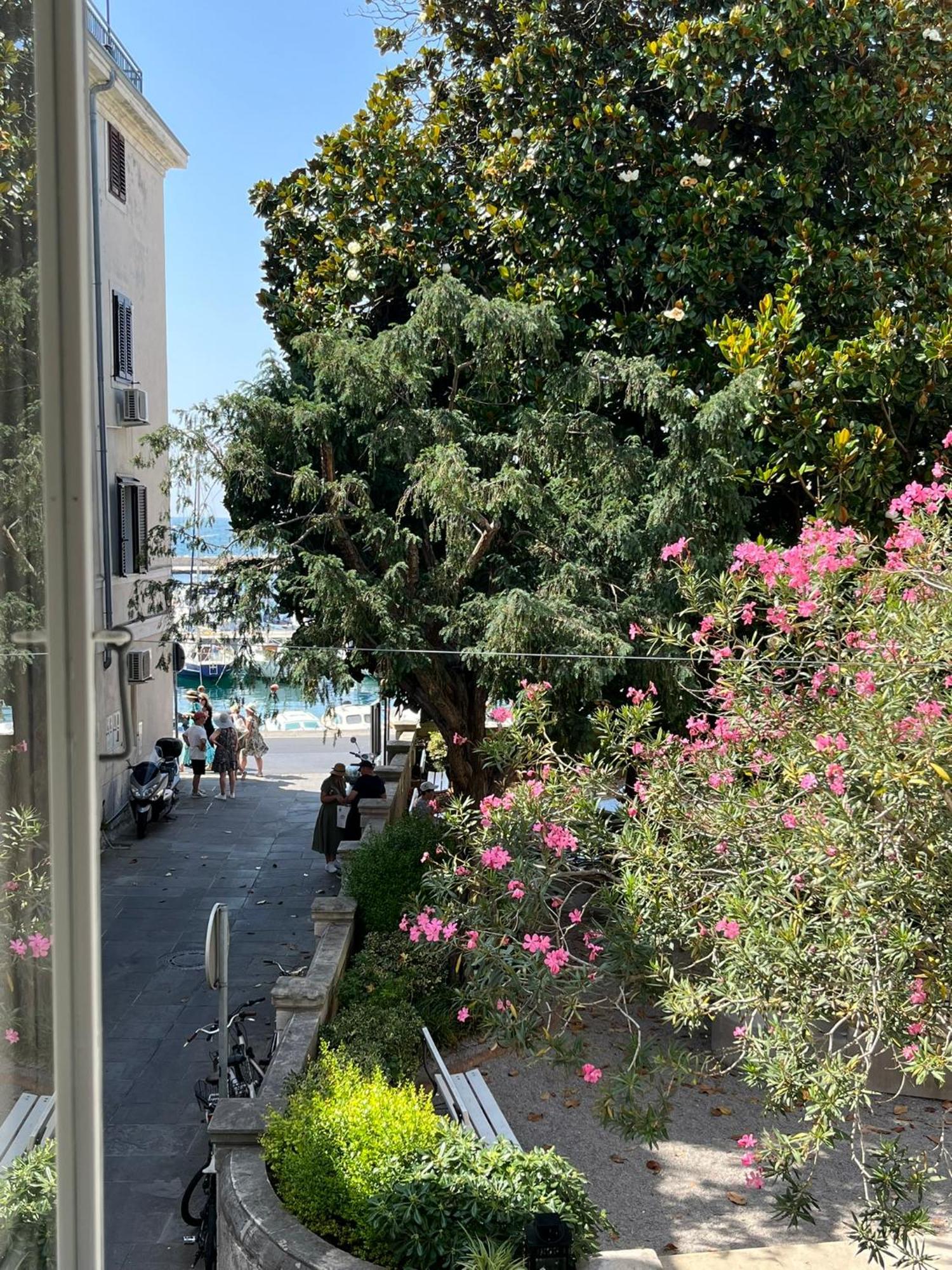 Magnolia Apartment